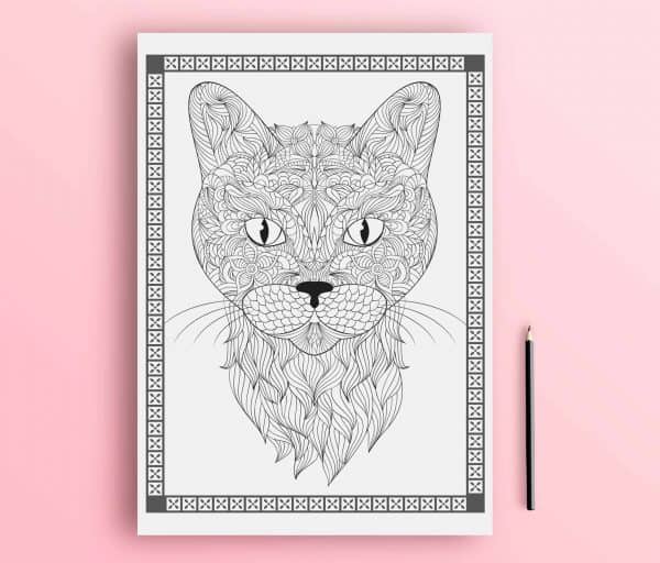 adult coloring book with cats coloring pages