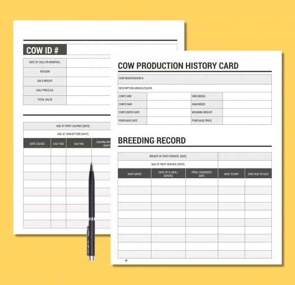 Cattle Breeding, Calving, and Livestock Record Keeping Book